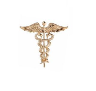 Snake Brooch (4$ each) - Gold image