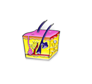 Dermatology Skin Layers image 0