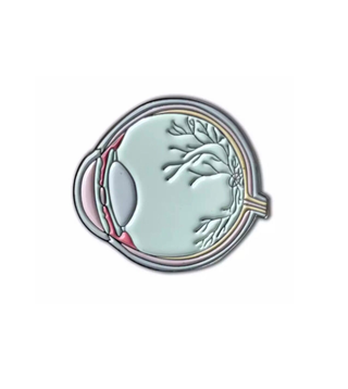 The Organ of Sight image 0