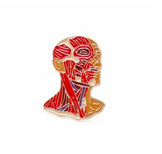 Anatomy head image 0