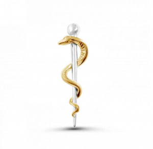 Rod of asclepius (6$ each) - Gold and Silver image