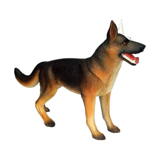4D Wolf Dog Anatomy Model