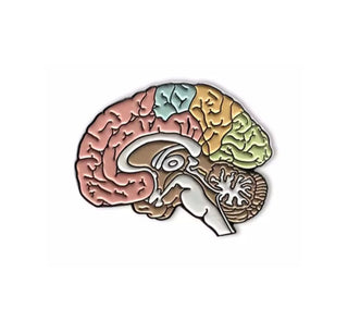 Colorful brain image 0