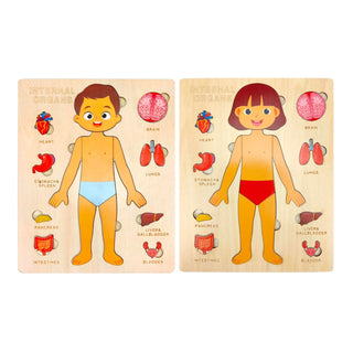 Children's Montessori Educational Wooden Human Body Puzzle (Boy & Girl) image 0