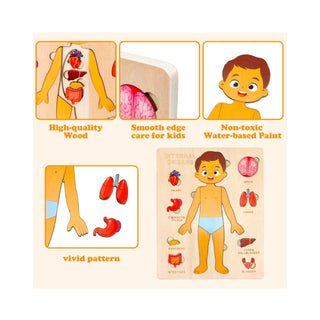 Children's Montessori Educational Wooden Human Body Puzzle (Boy & Girl) image 3