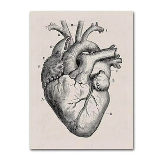 Black and White Canvas