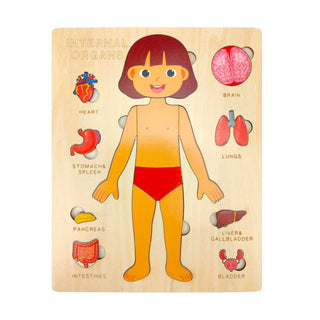 Children's Montessori Educational Wooden Human Body Puzzle (Boy & Girl) - Girl image