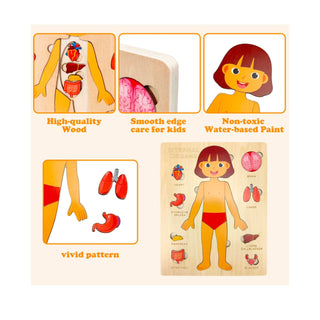 Children's Montessori Educational Wooden Human Body Puzzle (Boy & Girl) image 4