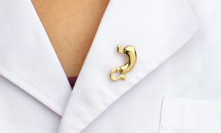 Stomach (5$ each) - Gold image