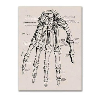 Black and White Canvas