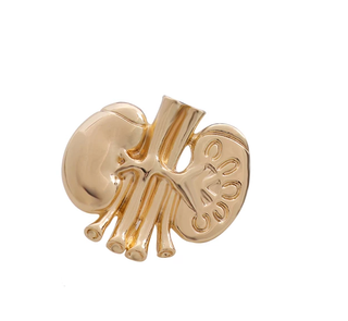 Gold Kidneys image 0
