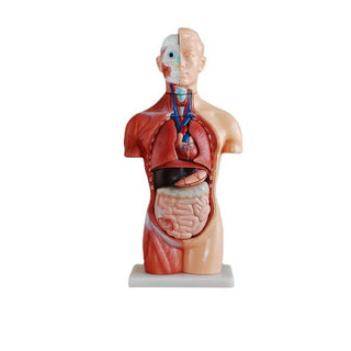 42CM Sexless Torso 18 Parts image 0