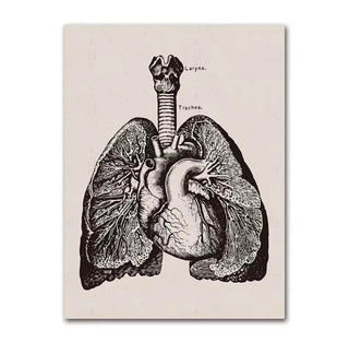 Black and White Canvas