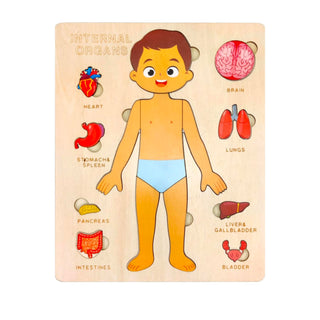 Children's Montessori Educational Wooden Human Body Puzzle (Boy & Girl) - Boy image